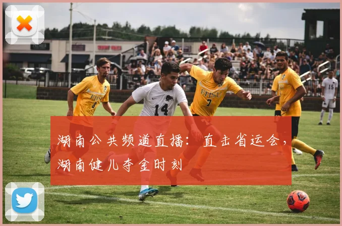 湖南公共频道直播：直击省运会，湖南健儿夺金时刻