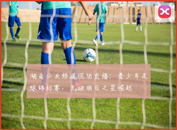 湖南公共频道现场直播：青少年足球锦标赛，见证明日之星崛起