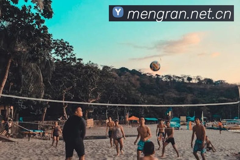 米兰官方网站入口APP 封面图